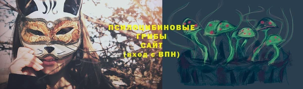 шишки Елабуга