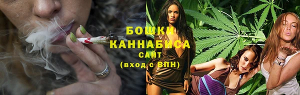 шишки Елабуга