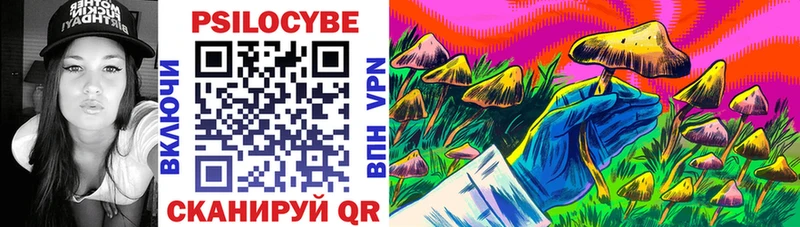 Псилоцибиновые грибы Psilocybine cubensis  сколько стоит  Светогорск 